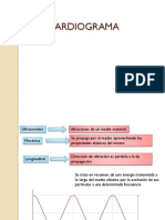 Eco Cardiogram A