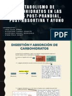 Metabolismo de Carbohidratos