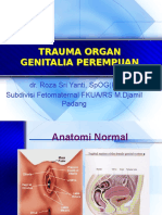 Trauma Organ Genitalia Wanita