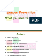 Dreamz School Dengue