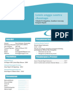 CV Louis-1 PDF