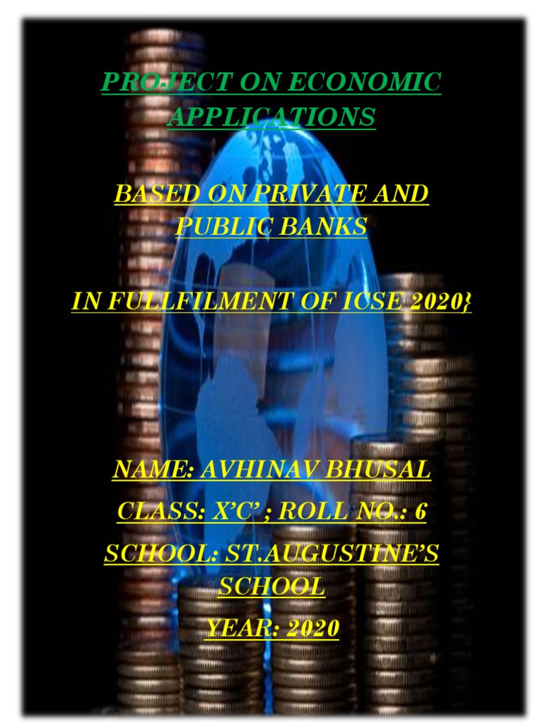 Project On Economic Applications | PDF