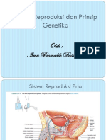 Sistem Reproduksi Dan Prinsip Genetika