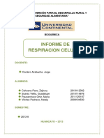 171797146 Informe de Respiracion Celular