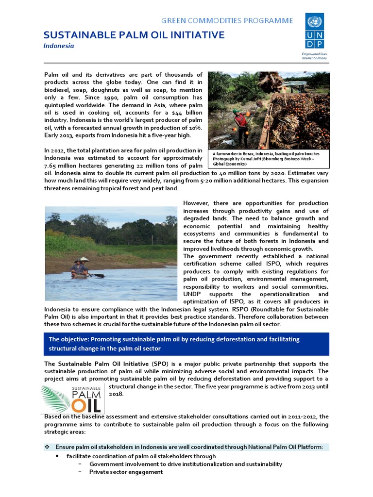 Indonesia Factsheet Download Free Pdf Palm Oil Indonesia