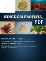 Kingdom Protista