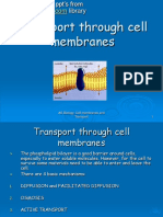 Cell Membrane Transport Mechanisms