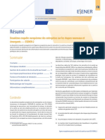 Esener II Summary Fr (1)