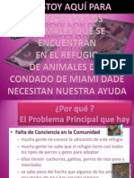 A El Rescate de Animales de Miami Dade Animal Services