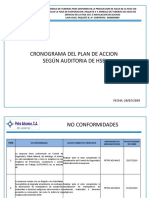 Cronograma de Auditoria