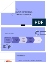 Traktus Kortikospinal Kortikobulbar