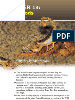 Chapter 13 Arthropods-Torres