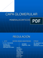8 - CAPA_GLOMERULAR_SUPRARRENALES.ppt