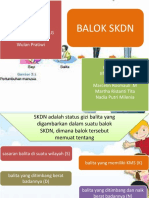 Balok SKDN: Kelompok 4 Alma Yuliska Benidiktus Cynthia Magdalena L.G Yuyun Adriana Wulan Pratiwi