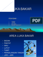 Luka Bakar