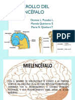 Desarrollo Del Mielencéfalo