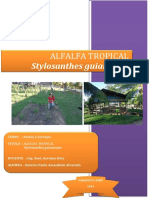 Alfalfa Tropical Pastos PDF