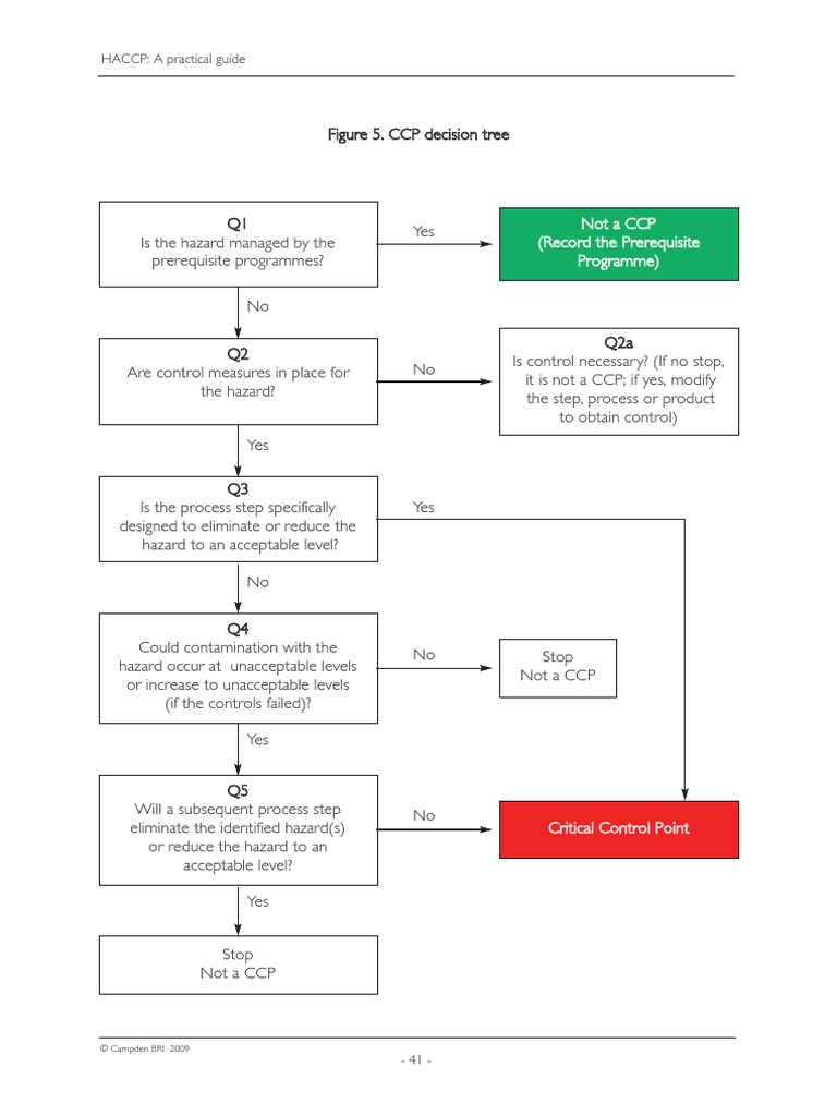 CCP Decision Tree