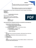 MIGRAÑA MALU 1.pdf