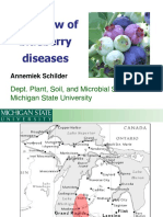Overview of Blueberry Diseases: Dept. Plant, Soil, and Microbial Sciences Michigan State University