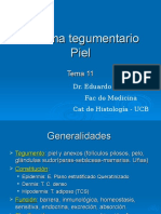 11 - Sistema Tegumentario Piel 11