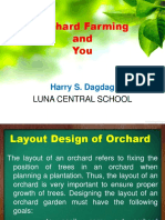 Orchard Farming and You: Luna Central School