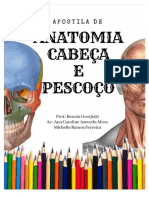 PDF-APOSTILA-ANATO (1)