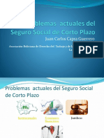 Problemas Actuales Del Seguro Social de Corto Plazo