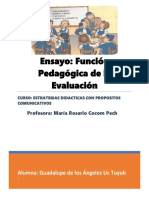 Ensayo. Funcion pedagogica.docx