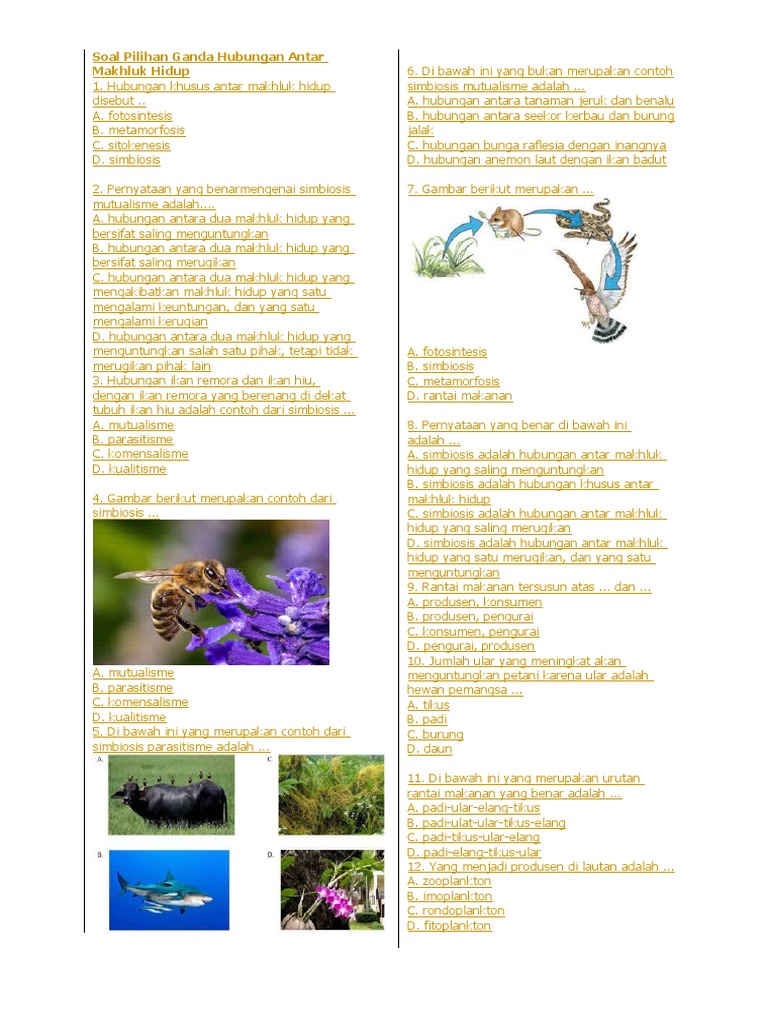 Soal Simbiosis