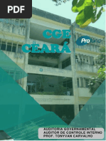 Aula 10 - Auditoria (Relatórios e Pareceres de Auditoria)