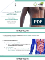 Hernias de la pared abdominal: clasificación y factores de riesgo