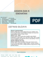 Budaya Dan Kesehatan Kelompok 7