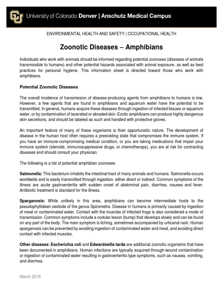 Zoonotic Diseases Amphibians PDF Infection Salmonella