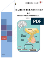 Ejercicios:materia.pdf