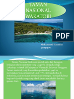 Wakatobi