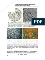 Metabolism Urban Cerasella Craciun PDF