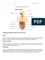 Digestive System Parts and Functions: Rihanna Avril C. de Jesus Grade VI - Love