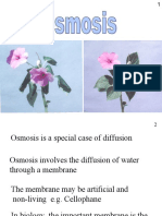 Osmosis