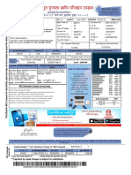 Light Bill PDF