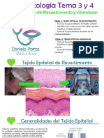 Clase 3 y 4 Epitelio de Revestimiento y Glandular