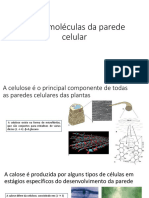 Macromoléculas da parede celular.pptx