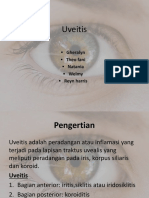 Uveitis