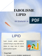 BDBP - Metab Lipid