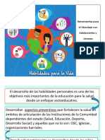 1.HABILIDADES  2019 PINTO.pdf