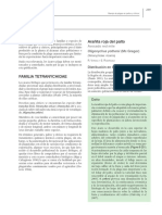 Aranita_Roja_de_los_Citricos_P_citri.pdf