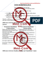 Tooth Morphology