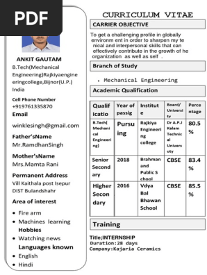 Ankit Curriculum Vitae Docx Engineering Science And Technology