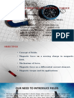 Magnetic Field Effects and Magnetic Torque