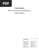 ERP An Overview and Challenges in Implementation